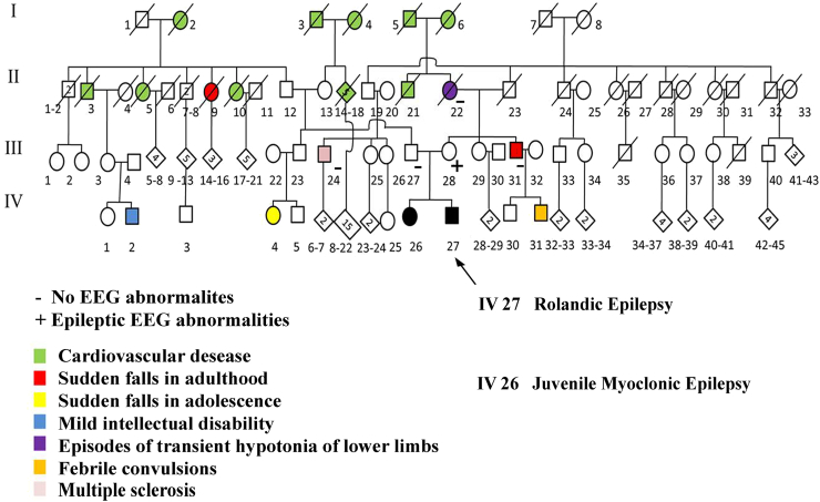 Epilepsy phenotype in patients with Xp22.31 microduplication