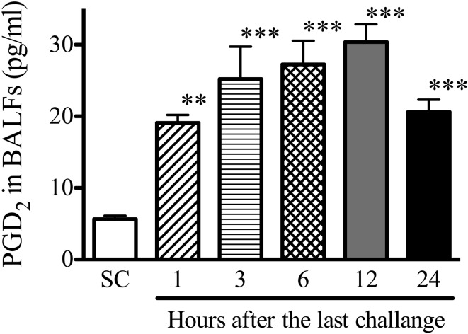 Sustained exposure to prostaglandin D<sub>2</sub> augments the contraction induced by acetylcholine via a DP<sub>1</sub> receptor-mediated activation of p38 in bronchial smooth muscle of naive mice.