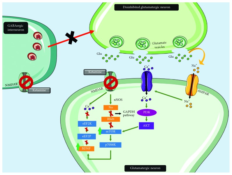 Depression as a Neuroendocrine Disorder: Emerging Neuropsychopharmacological Approaches beyond Monoamines.