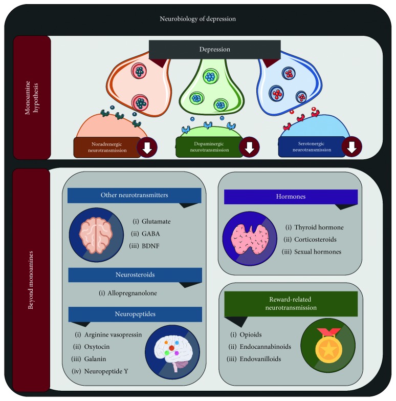 Depression as a Neuroendocrine Disorder: Emerging Neuropsychopharmacological Approaches beyond Monoamines.