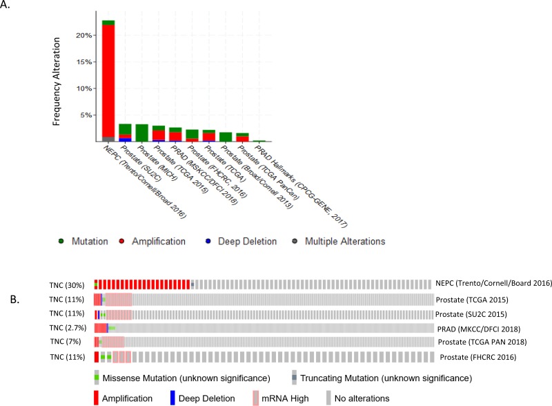 Genomic alterations of Tenascin C in highly aggressive prostate cancer: a meta-analysis.