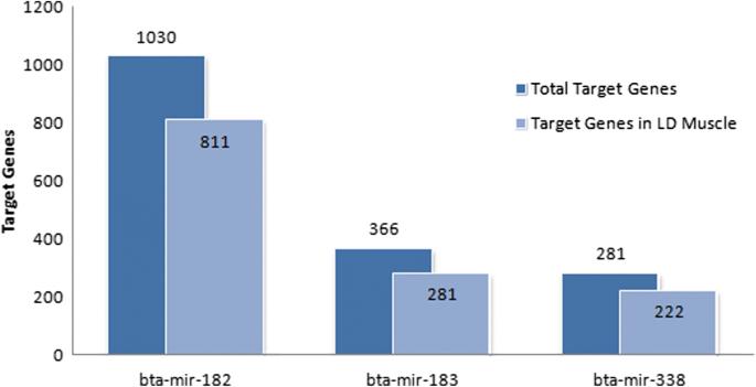 MiRNAs differentially expressed in skeletal muscle of animals with divergent estimated breeding values for beef tenderness