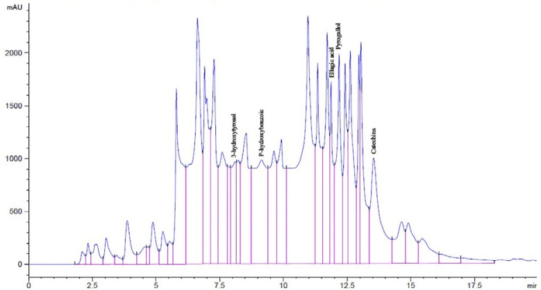 Nephroprotective effect of green tea, rosmarinic acid and rosemary on N-diethylnitrosamine initiated and ferric nitrilotriacetate promoted acute renal toxicity in Wistar rats.