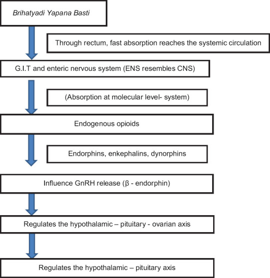 Effect of <i>Brihatyadi Yapana Basti</i> and <i>Shivalingi</i> (<i>Bryonia laciniosa</i> Linn.) seed powder in the management of female infertility (<i>Vandhyatva</i>) due to anovulatory factor: An open-labelled randomized clinical trial.