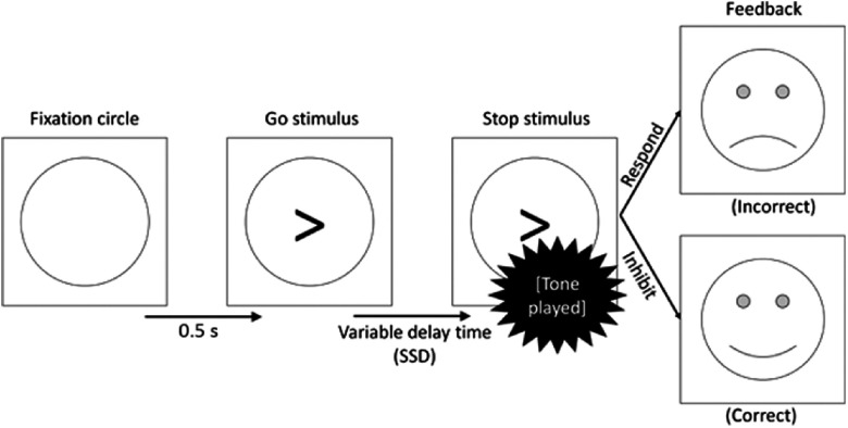 Increases in theta CSD power and coherence during a calibrated stop-signal task: implications for goal-conflict processing and the Behavioural Inhibition System.