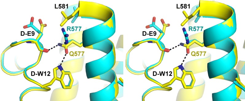 Characterization of resistance to a potent D-peptide HIV entry inhibitor.