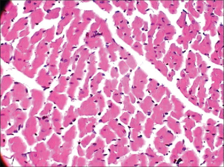 An experimental study to evaluate the effect of <i>Nitya Sevaniya</i> (daily consumable) and <i>Nitya Asevaniya</i> (daily non-consumable) food items on albino rats.