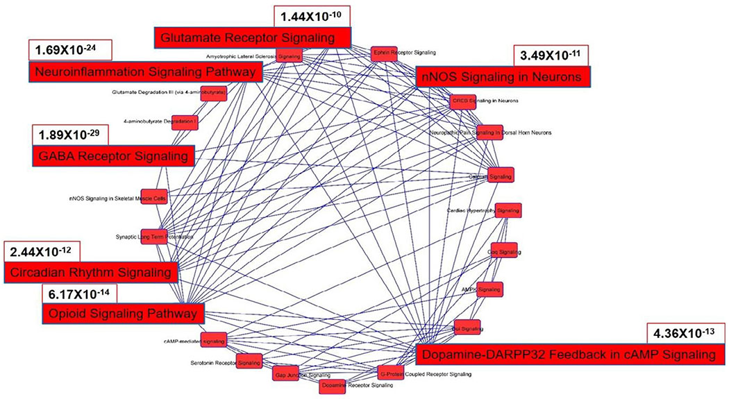 Bi-directional Acceleration of Alcohol Use and Opioid Use Disorder.