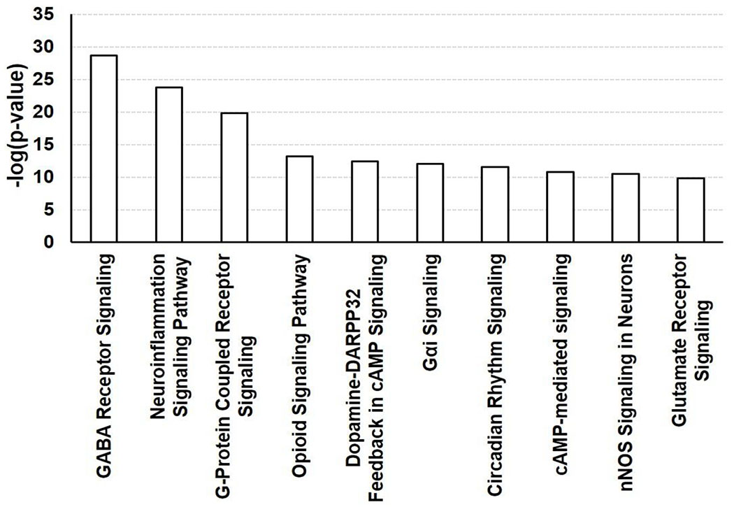 Bi-directional Acceleration of Alcohol Use and Opioid Use Disorder.