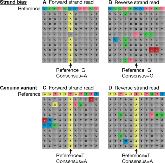 Highly multiplexed, fast and accurate nanopore sequencing for verification of synthetic DNA constructs and sequence libraries.