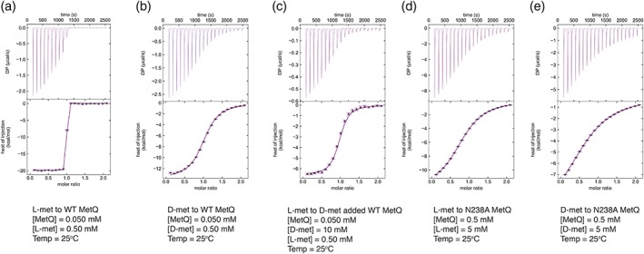 Structures of the Neisseria meningitides methionine-binding protein MetQ in substrate-free form and bound to l- and d-methionine isomers.
