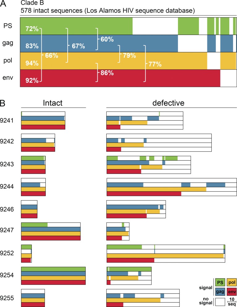 Combination of quadruplex qPCR and next-generation sequencing for qualitative and quantitative analysis of the HIV-1 latent reservoir.