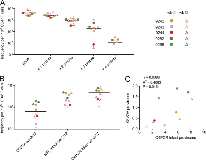 Combination of quadruplex qPCR and next-generation sequencing for qualitative and quantitative analysis of the HIV-1 latent reservoir.