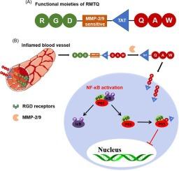 Targeted and MMP-2/9 responsive peptides for the treatment of rheumatoid arthritis