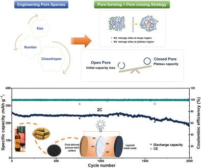 Regulating Pore Structure of Hierarchical Porous Waste Cork-Derived Hard Carbon Anode for Enhanced Na Storage Performance