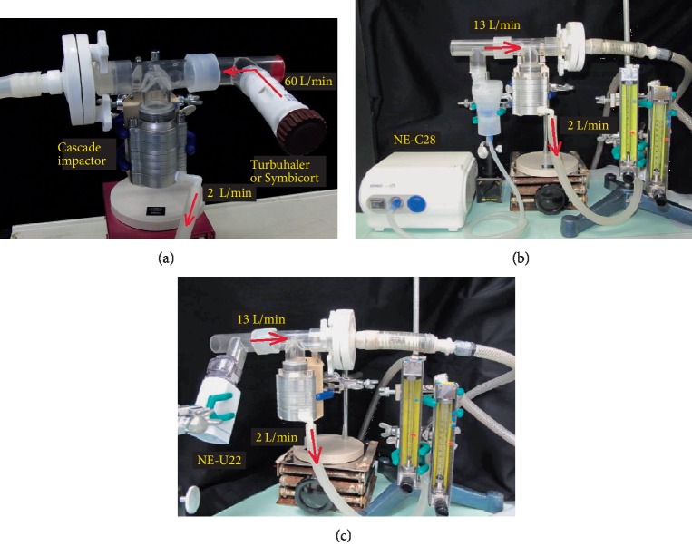 Dry Powder and Budesonide Inhalation Suspension Deposition Rates in Asthmatic Airway-Obstruction Regions.