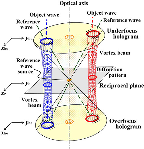 Lensless fourier transform electron holography applied to vortex beam analysis