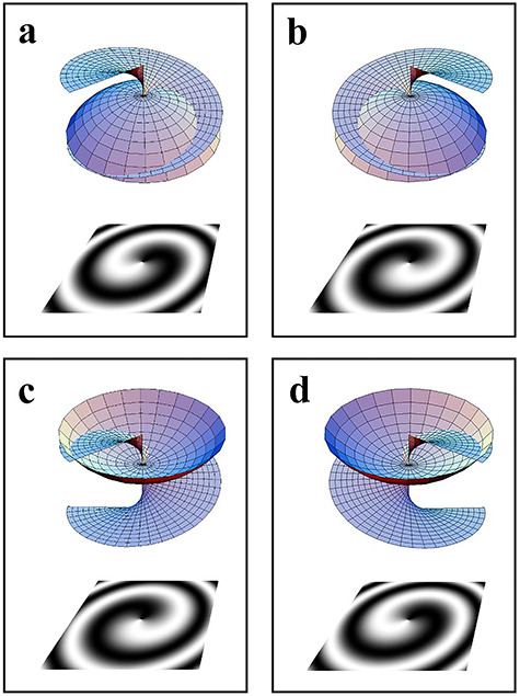 Lensless fourier transform electron holography applied to vortex beam analysis