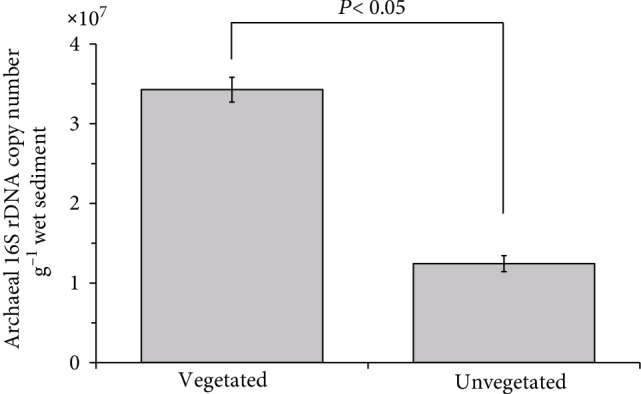 Community Structure and Abundance of Archaea in a <i>Zostera marina</i> Meadow: A Comparison between Seagrass-Colonized and Bare Sediment Sites.