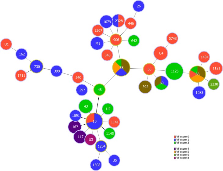 Molecular types, virulence profiles and antimicrobial resistance of <i>Escherichia coli</i> causing bovine mastitis.