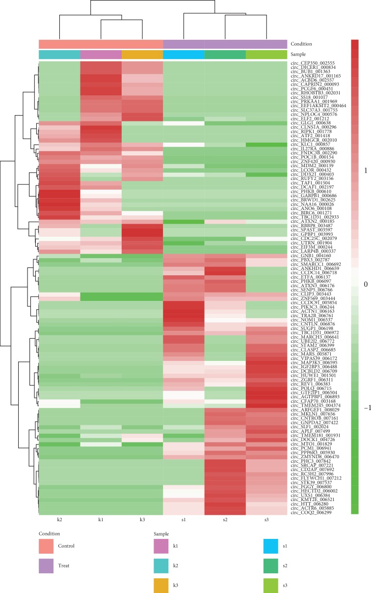 Circ_MDM2_000139, Circ_ATF2_001418, Circ_CDC25C_002079, and Circ_BIRC6_001271 Are Involved in the Functions of XAV939 in Non-Small Cell Lung Cancer.