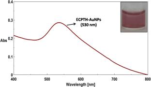 Facile construction of calix[4]pyrrole-templated gold nanoparticles: computational insights and application for efficient reduction of 4-nitrophenol