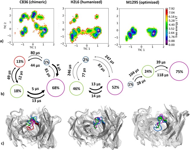 Antibody humanization-the Influence of the antibody framework on the CDR-H3 loop ensemble in solution.