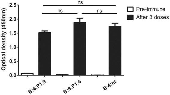 Cross-reactivity with Brazilian strains of <i>Neisseria meningitidis</i> B after immunization with outer membrane vesicles.