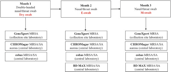 Liquid and Dry Swabs for Culture- and PCR-Based Detection of Colonization with Methicillin-Resistant Staphylococcus aureus during Admission Screening.