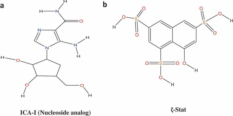 The modulation of actin dynamics via atypical Protein Kinase-C activated Cofilin regulates metastasis of colorectal cancer cells.