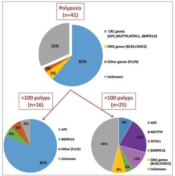 Molecular Basis of Inherited Colorectal Carcinomas in the Macedonian Population: An Update.