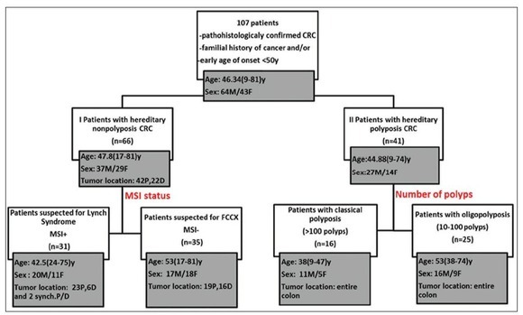 Molecular Basis of Inherited Colorectal Carcinomas in the Macedonian Population: An Update.