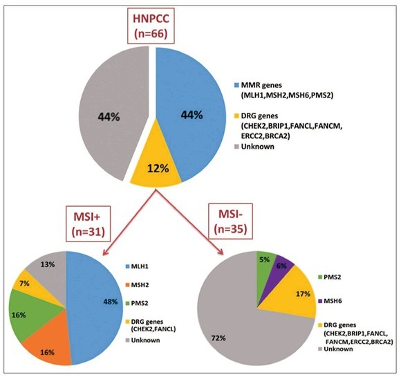 Molecular Basis of Inherited Colorectal Carcinomas in the Macedonian Population: An Update.