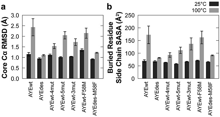 Molecular dynamics simulations suggest stabilizing mutations in a de novo designed α/β protein.