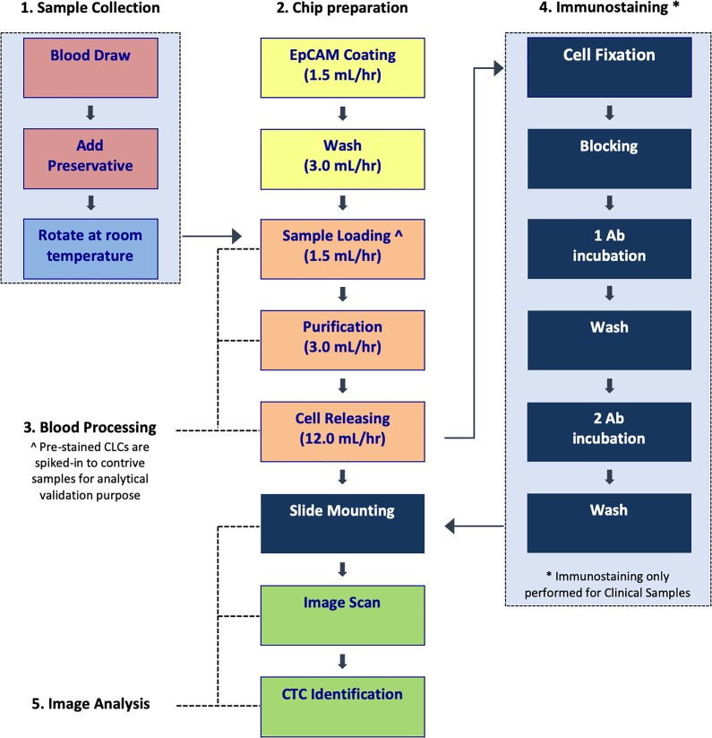 Analytical validation of the CellMax platform for early detection of cancer by enumeration of rare circulating tumor cells.