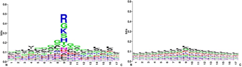 Recognizing ion ligand binding sites by SMO algorithm.