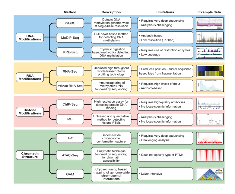 Unraveling the epigenetic landscape of depression: focus on early life stress .