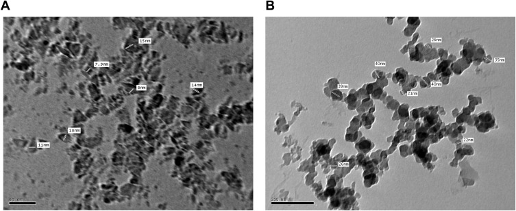 Loading Amlodipine on Diamond Nanoparticles: A Novel Drug Delivery System.