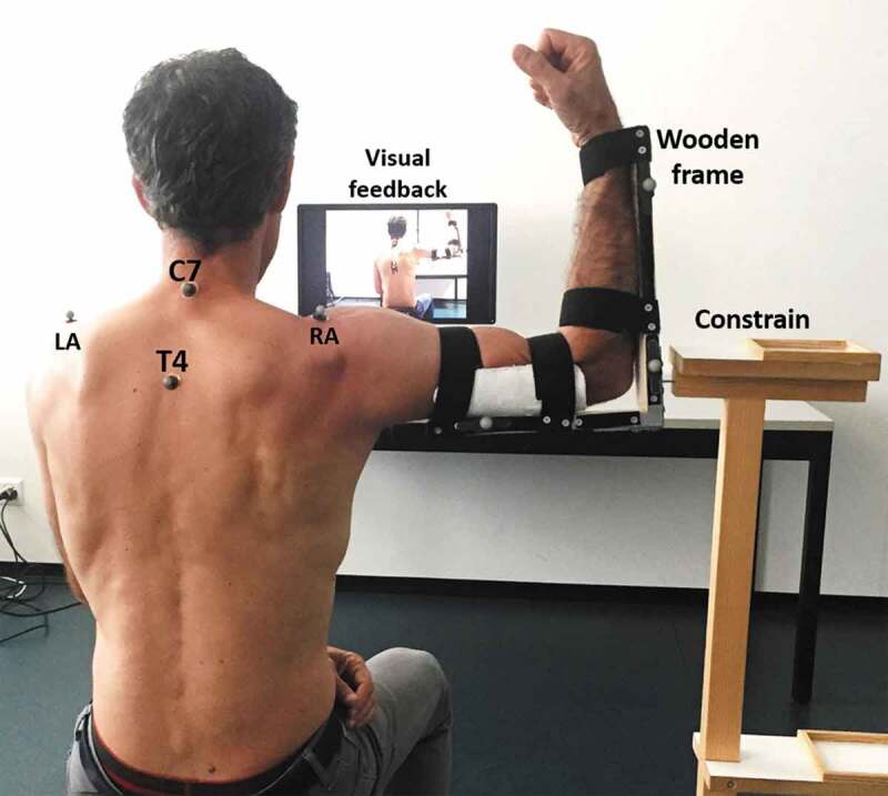 Helical axis analysis to quantify humeral kinematics during shoulder rotation.