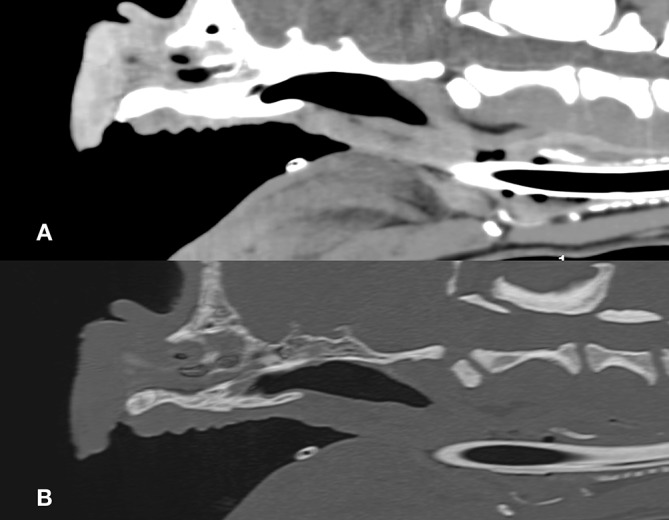 Intraobserver and interobserver reliability of computed tomography measurements of the soft palate in French bulldogs.