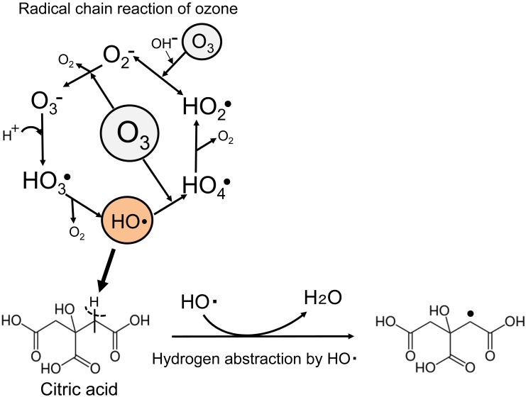 Effect of Citric Acid on Prolonging the Half-life of Dissolved Ozone in Water.