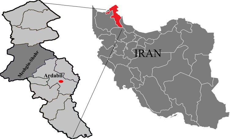 <i>Toxoplasma gondii</i> And <i>Neospora caninum</i> In Brain Tissue Of Rodents In North-West Iran.