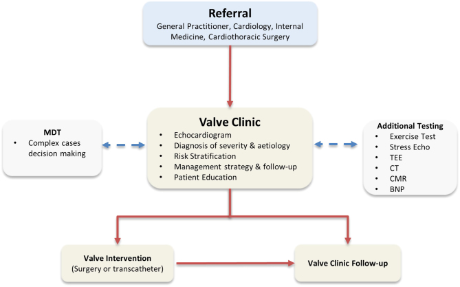 EDUCATIONAL SERIES ON THE SPECIALIST VALVE CLINIC: What is a valve clinic?