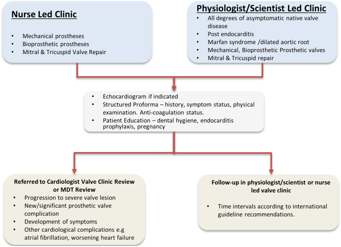 EDUCATIONAL SERIES ON THE SPECIALIST VALVE CLINIC: What is a valve clinic?