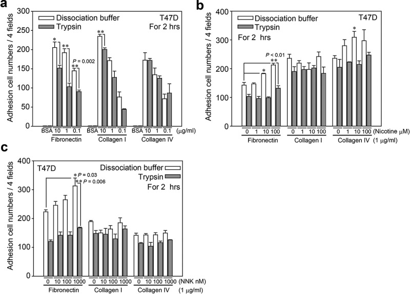 Small G protein signalling modulator 2 (SGSM2) is involved in oestrogen receptor-positive breast cancer metastasis through enhancement of migratory cell adhesion via interaction with E-cadherin.