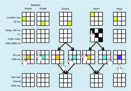 Remote concussion history does not affect visually-guided reaching in young adult females.