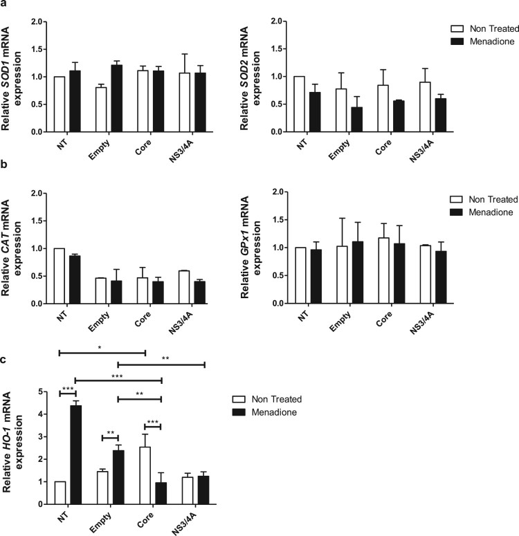 Hepatitis C virus core or NS3/4A protein expression preconditions hepatocytes against oxidative stress and endoplasmic reticulum stress.