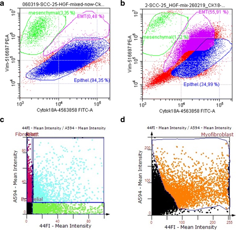 Pleiotropic Effects of Epithelial Mesenchymal Crosstalk on Head and Neck Cancer: EMT and beyond.