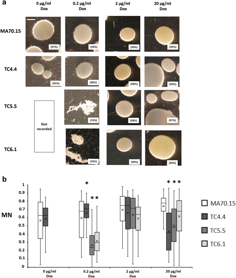 Correction to: Functional exploration of co-expression networks identifies a nexus for modulating protein and citric acid titres in <i>Aspergillus niger</i> submerged culture.