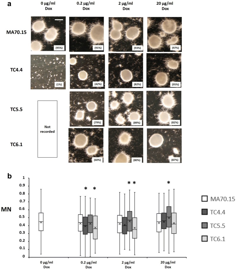 Correction to: Functional exploration of co-expression networks identifies a nexus for modulating protein and citric acid titres in <i>Aspergillus niger</i> submerged culture.